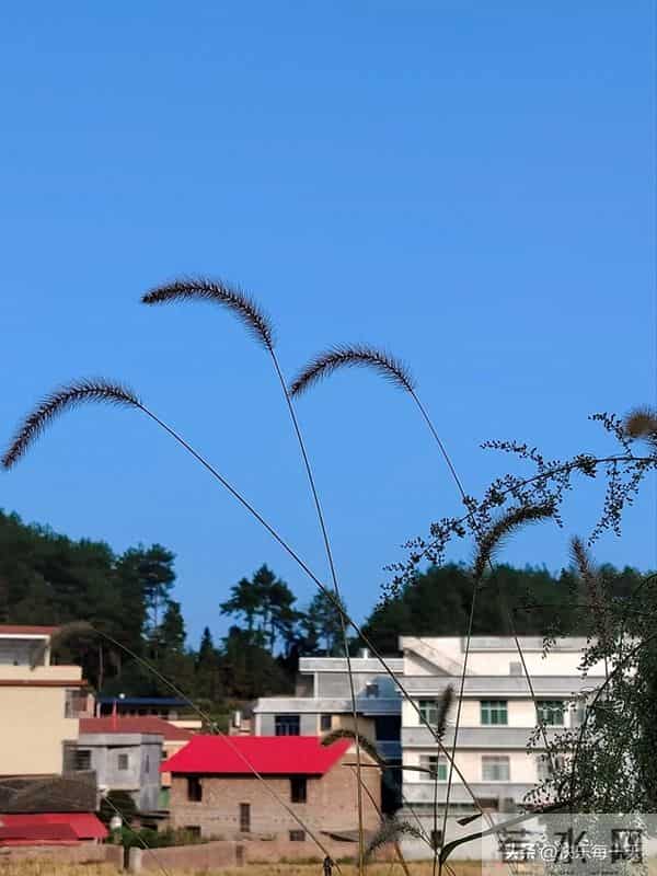 同事一直不想生二胎，自从回去跟儿子打了一架，就改变了想法。