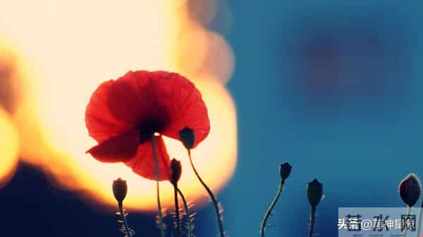 12月11日，星期四，天秤座，大事即将发生！