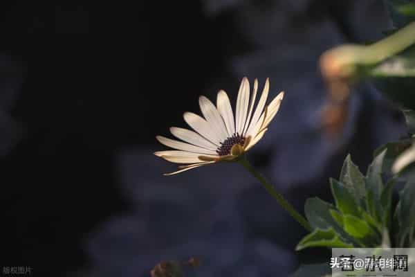 一群人攻击打压一个人，是一群恶人坏人在清除环境里的好和善