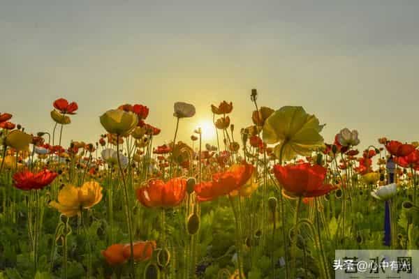 我照顾丁克小姨6年，意外看到遗嘱，果断离开不再联系