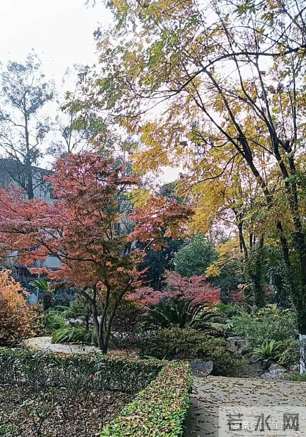 夫妻俩发生激烈争吵，妻子生气跑回娘家，岳父一通电话让男子懵了