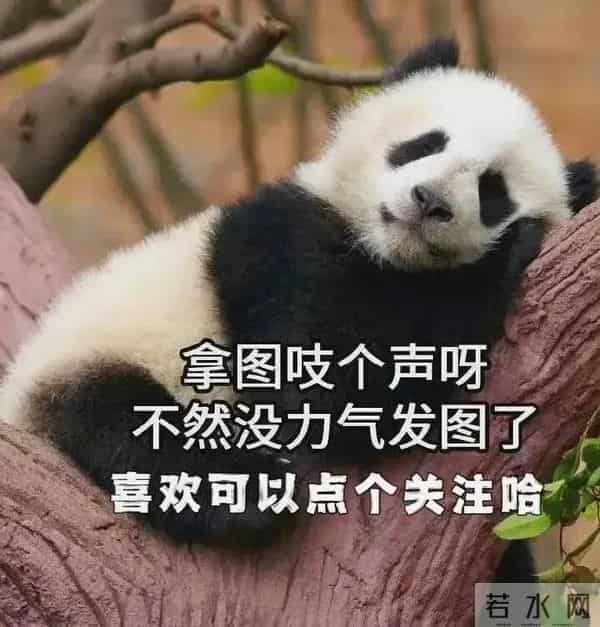 2026年元旦跨年文案,建议提前收藏好!