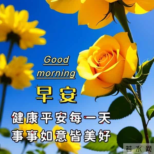 开心简短的早安佳句,高质量暖心问候,清晨又来到,向你问声好
