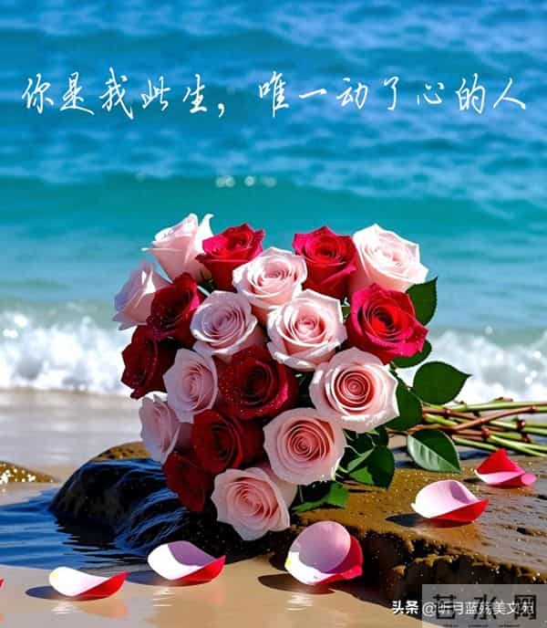 你是我此生，唯一动了心的人