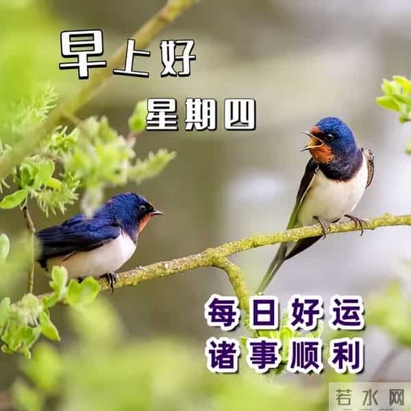 今日最新早上好金句,健康胜过一切祝福语,祝您健康快乐