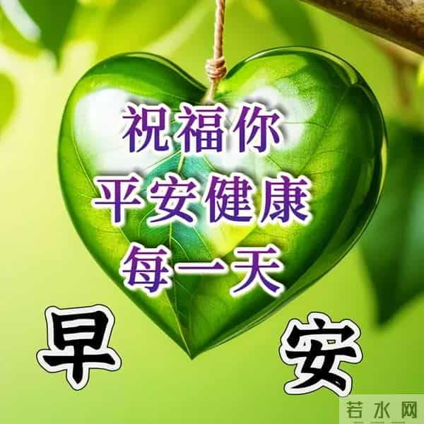 开心简短的早安佳句,高质量暖心问候,清晨又来到,向你问声好