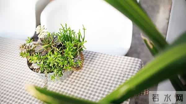 男人变心，不管是想复合，还是想放手，你都要这样做