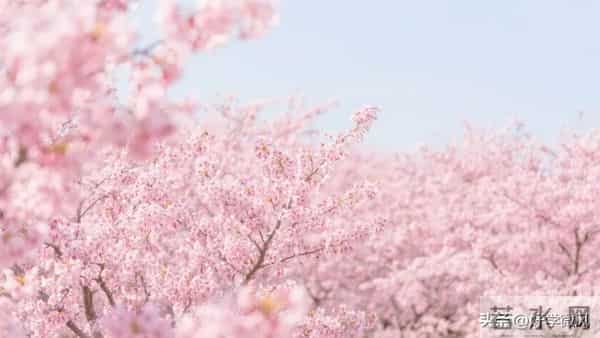 两性关系：万万没想到，70岁的女人最盼望男人"肉麻"示爱