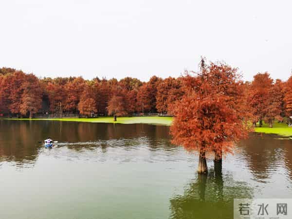 人有没有福相，一看便知，有福相之人，有以下三个主要特征
