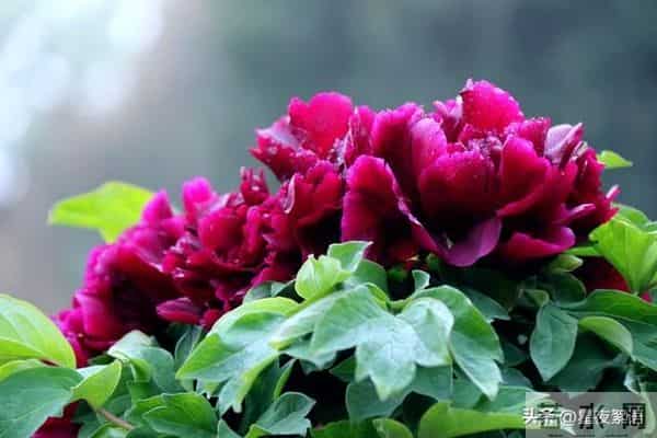 52岁保姆再婚第一晚崩溃：中年爱情，哪有那么多浪漫