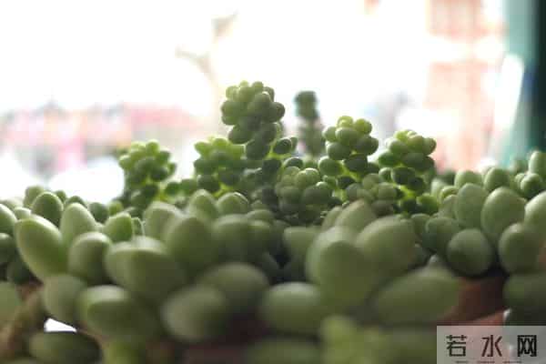 今年最后二十一天，好运开挂！ 这些星座财富积累加速，余额暴涨