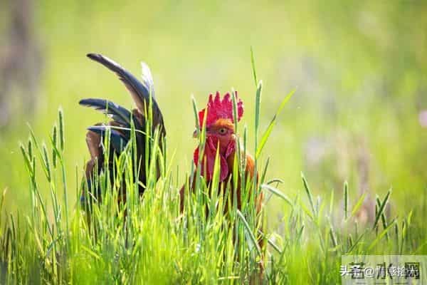 你的福报已送达，现在签收还来得及