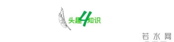 “把闺蜜打胎的秘密告诉了对象”引群嘲，暴露了人性最丑陋的真相