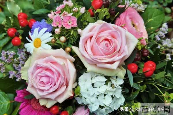 人到中年，和枕边人的关系相处：别走得太近！有好处