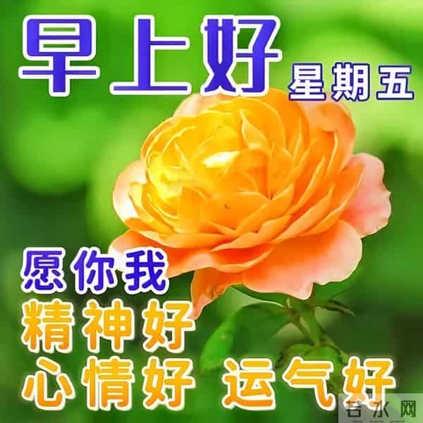 开心简短的早安佳句,高质量暖心问候,清晨又来到,向你问声好