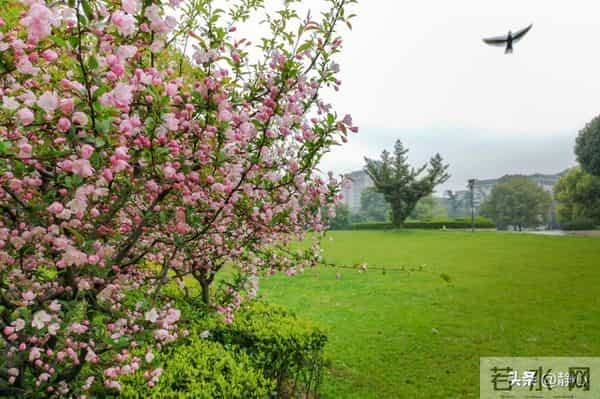 好好活着， 便是人生最好的答案