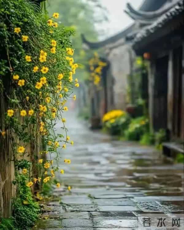 人总要死,实际上多少年后,多活几年少活几年有区别吗?