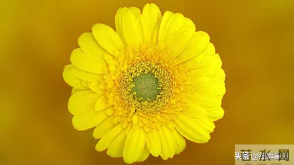 12月11日至17日，未羊，下周开始，可能会有有事发生