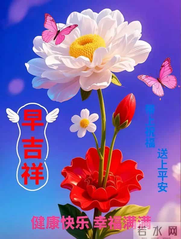 2025年12月12日周五早安 早上好图片最新今天 温馨淡雅的早安图片