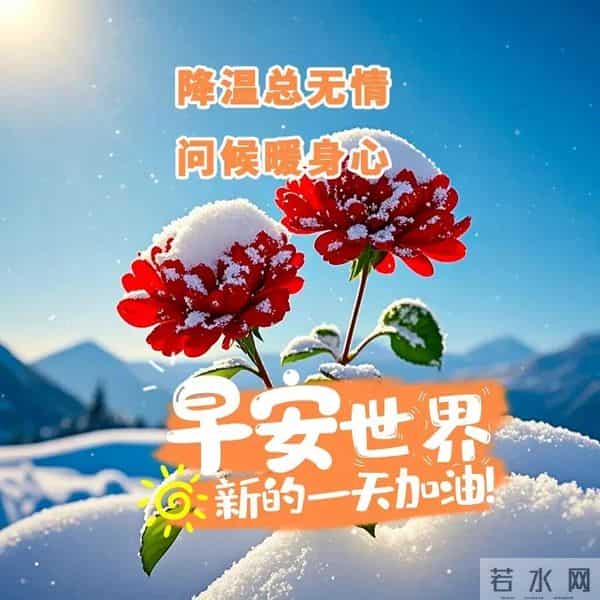 12.12早安