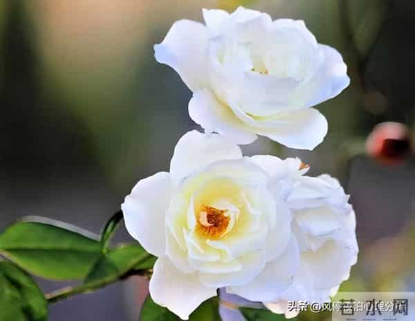 夫妻之间的人性潜规则，一旦被忽视：婚姻就会“出问题”！别大意