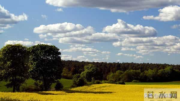 12月11日至17日，酉鸡，下周开始，可能会有小事发生