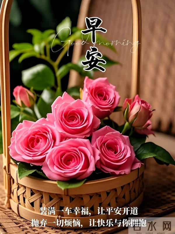 25句清晨暖心祝福，晨光温柔，情谊绵长，愿你岁岁安然、万事顺意