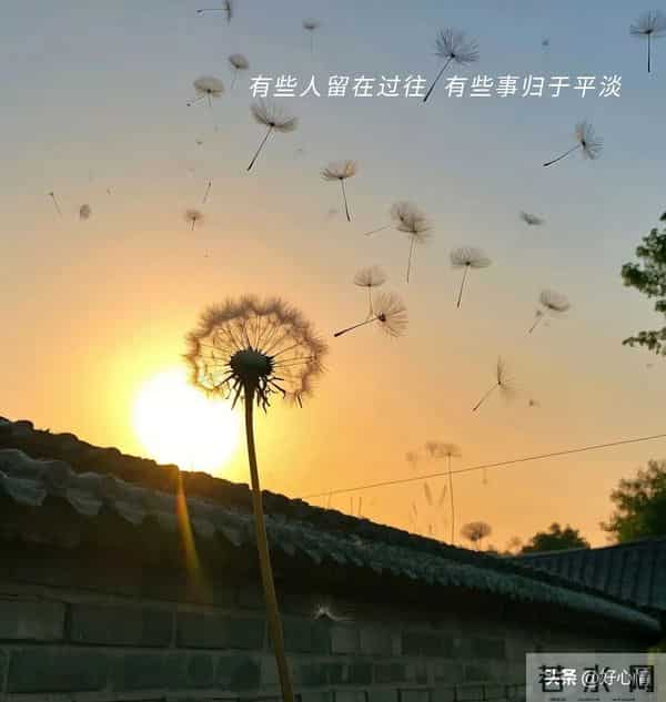 挑一句，2025年终总结，太有感觉了