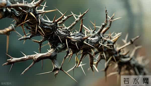 灵性很高，自带隐形光环的星座：步步穿篱入静幽，自有清风对碧流