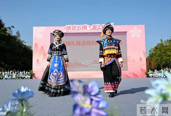 弥勒宇星公司送钻石了！名额有限～