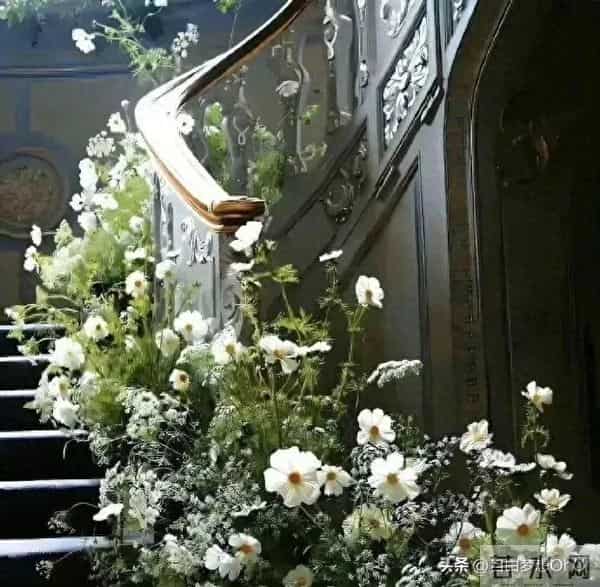 主见太强，一般人搞不定的星座