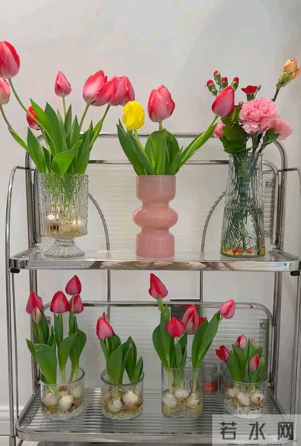 用一张照片证明你是热爱生活的人！网友哭喊：原来我丢失了我自己