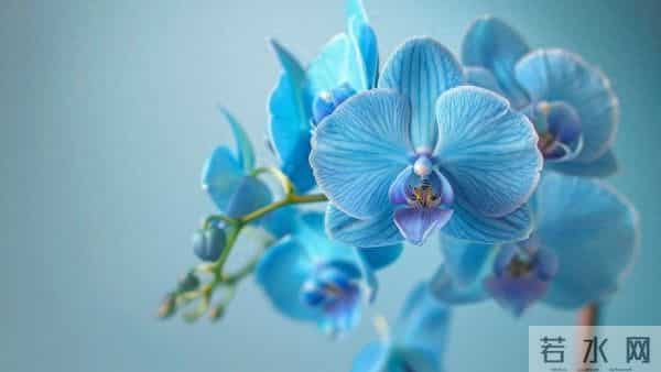 考上大学我妈给我侄子10000元，给我儿子2000，还让我不要不平衡