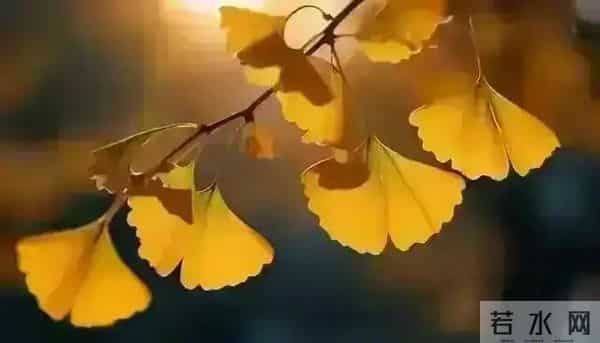 发现怪现象：越是独来独往没有朋友不合群的人，人品往往越没问题