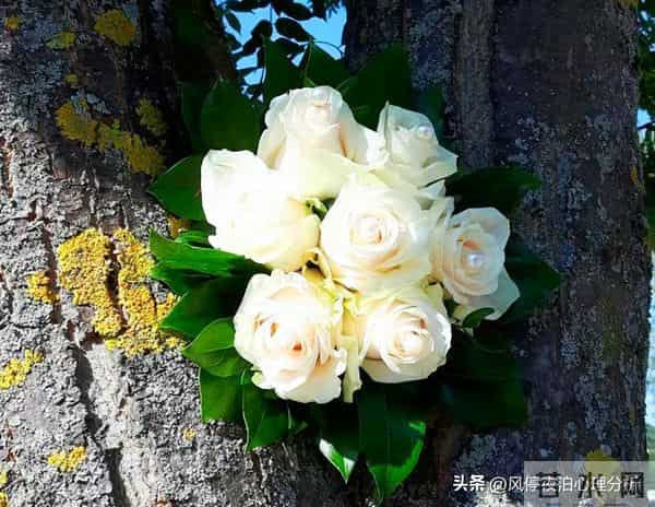 夫妻之间的人性潜规则，一旦被忽视：婚姻就会“出问题”！别大意