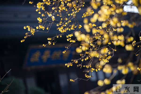 老了才明白：父母一旦超过70，立刻停止3种行为，否则晚景会凄凉