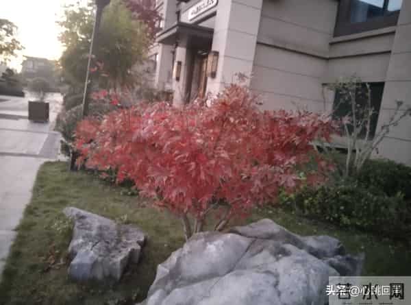 再安分的女人，包括中年女人，也难挡男人四大情感诱惑