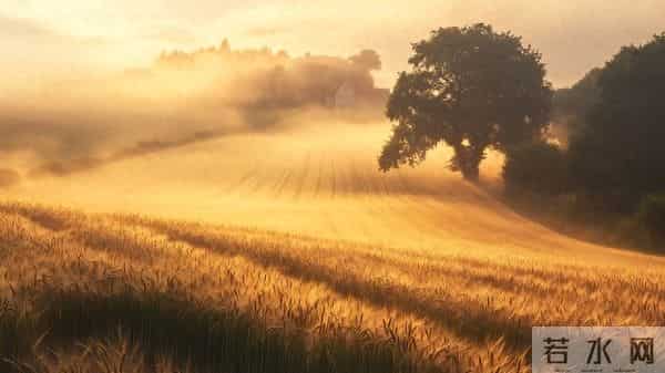 我的心,我的爱,一直与你在一起