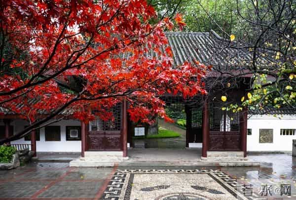 退休清华教授十条人生忠告:70岁后,一定要守住自己的幸福底线