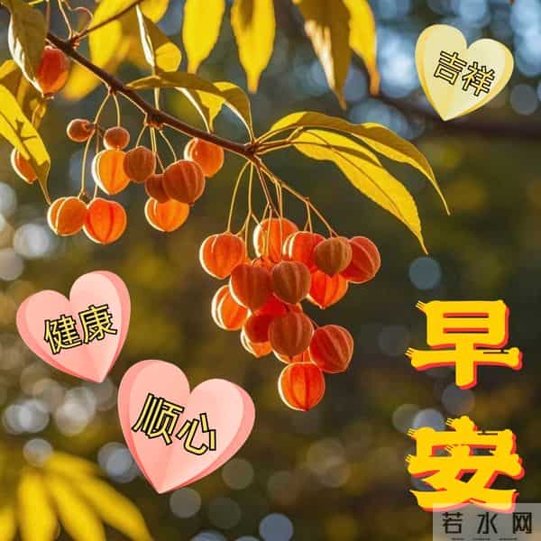 2025.12.11早安问候漂亮图片祝福美图