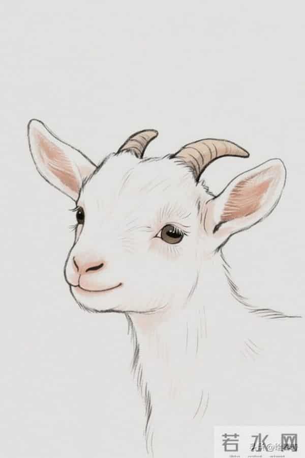 生肖羊-12月11日后，你翘首以盼的喜事将如约而至！