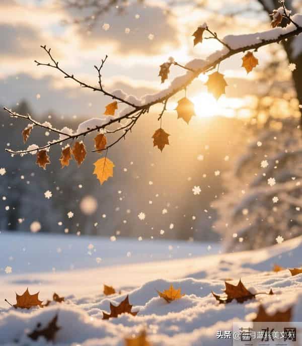 有幸遇见，终生难忘