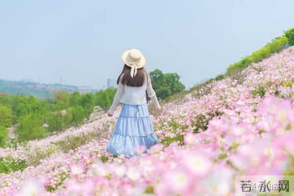 “毒鸡汤”坑了多少基层大龄剩女，集体被洗脑的背后意味着什么？