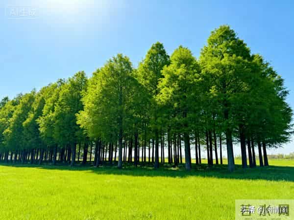 人生-肉体安康，灵魂轻盈，便是人间好光景