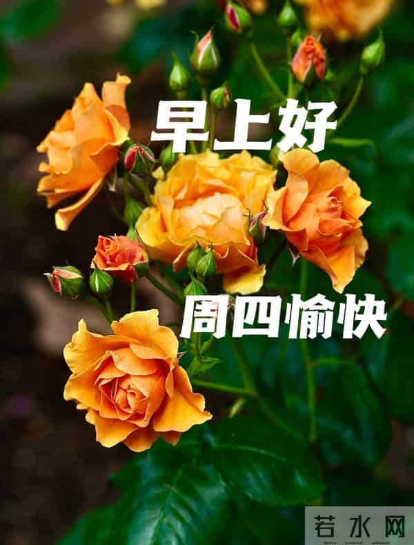 2025年12月11日周四早上好温馨问候语 早安图片 早安祝福精美图片