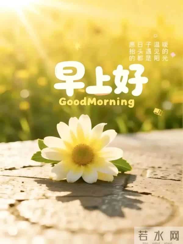 暖心祝福语图片丨浓浓心意，天天传递，舒心顺意，吉祥安康！