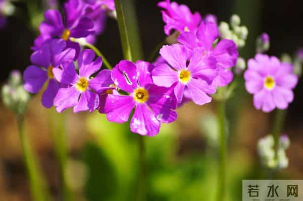 原来,女人动了情,会开这些玩笑