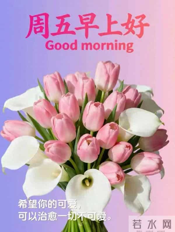12月12日漂亮早上好图片祝福周五早上好温馨问候语 早安祝福图文