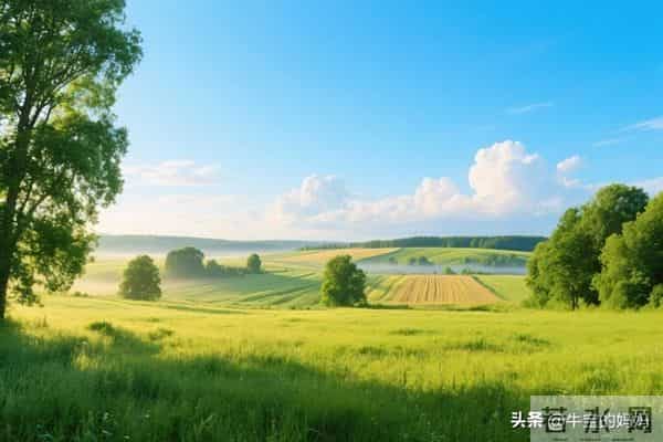 我们永远不知道意外和惊喜哪个会先到来,