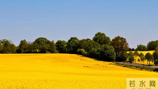 12月11日今日星座，白羊座，会有事发生！